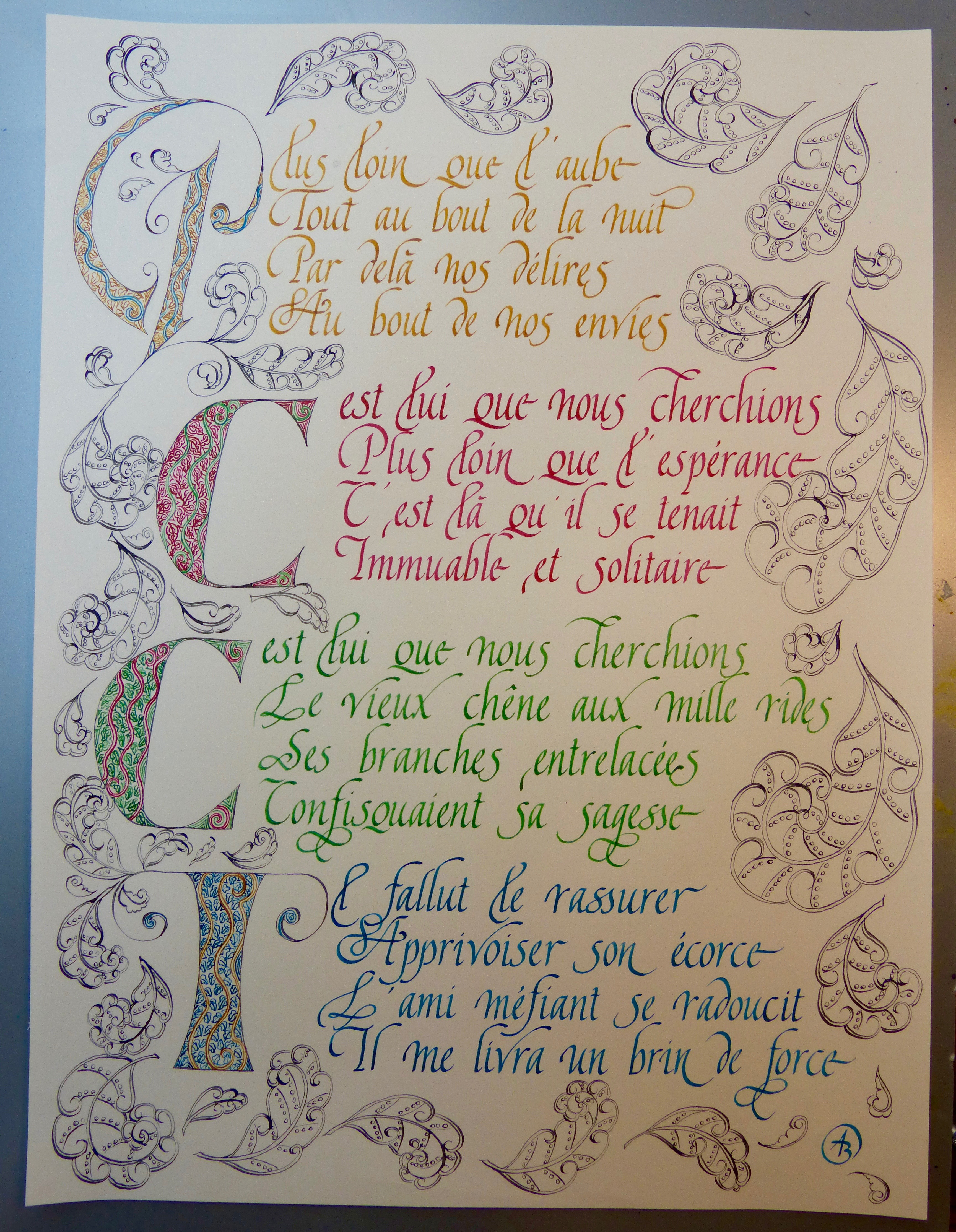 le chêne Anne Bernard Calligravures